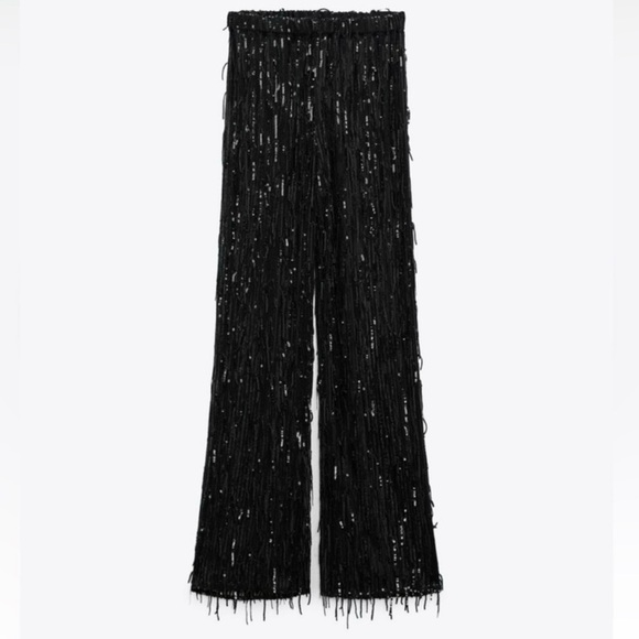NEW Zara Fringe Sequins Pants - Picture 3 of 4